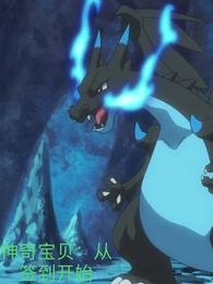 神奇宝贝：从签到开始小说阅读