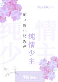 撩来的小奶狗是纯情少主小说阅读