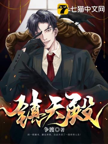 镇天殿小说阅读