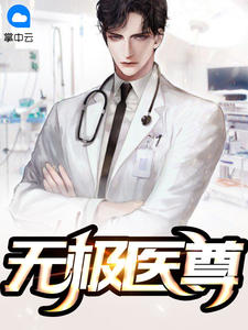 无极医尊小说阅读