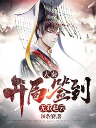 大秦：开局签到无双赵云小说阅读