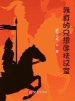 我真的只想匡扶汉室小说阅读