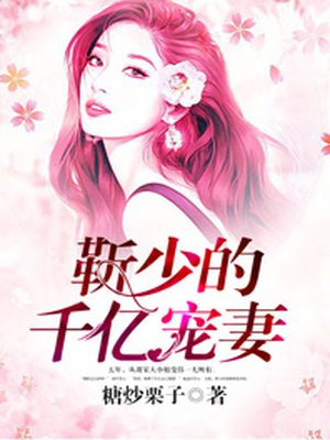 靳少的千亿宠妻-2小说阅读