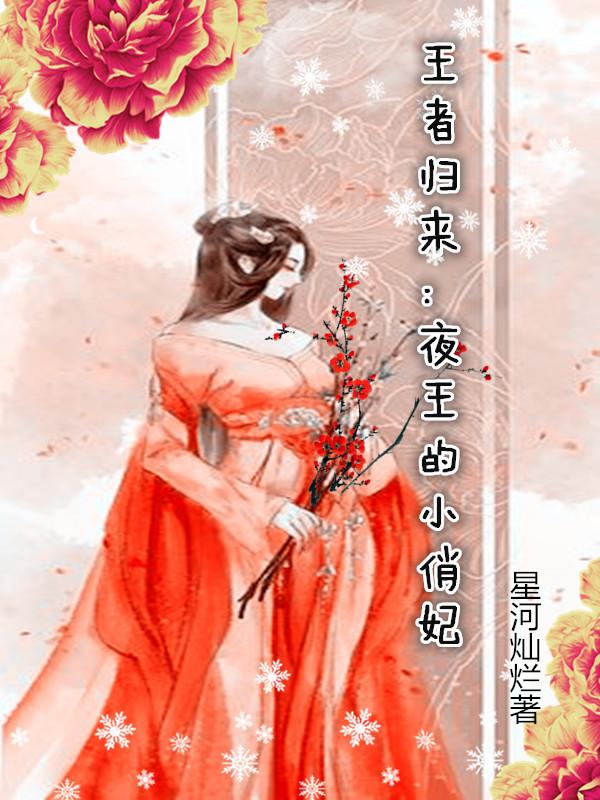 王者归来：夜王的小俏妃小说阅读