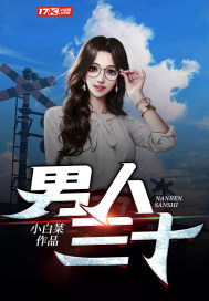 男人三十陈丰安澜小说阅读