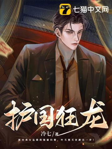 护国狂龙冷七小说阅读
