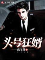 头号狂婿小说阅读