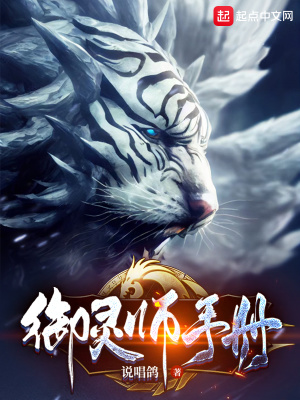 御灵师手册小说阅读