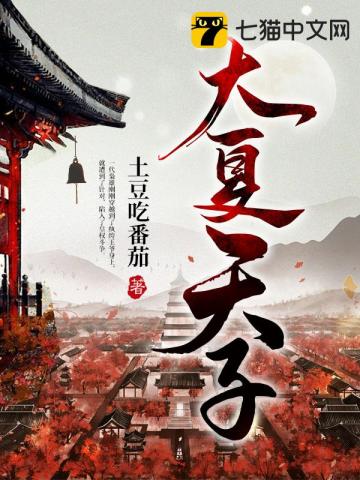 大夏天子小说阅读