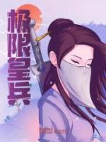 极限兵皇小说阅读