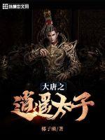 大唐之逍遥太子小说阅读