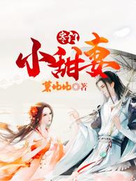 寒门小甜妻小说阅读