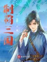 制霸三国小说阅读