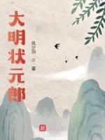 大明状元郎小说阅读