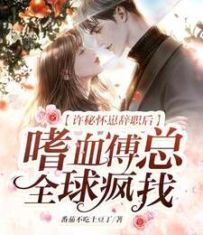 嗜血傅总全球疯找小说阅读