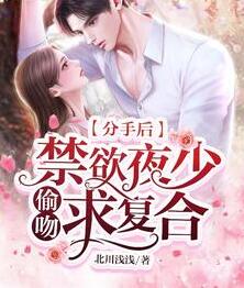 分手后，禁欲夜少偷吻求复合小说阅读