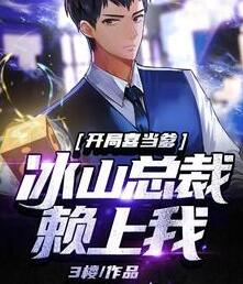 高起强杨清雪小说阅读