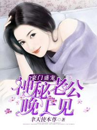 神秘老公晚上见小说阅读