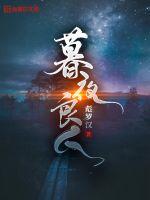 暮夜良人小说阅读