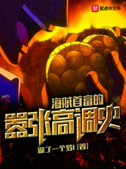 海贼首富的嚣张高调史小说阅读