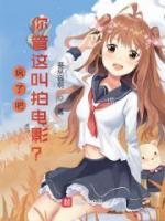 疯了吧，你管这叫拍电影？小说阅读