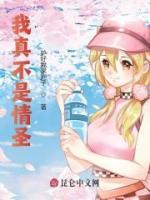 我真不是情圣小说阅读