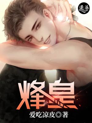 烽皇林烽小说阅读