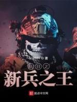 抗战之新兵之王小说阅读