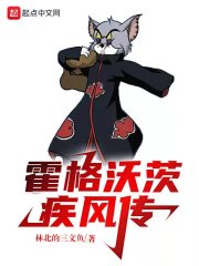 霍格沃茨疾风传小说阅读