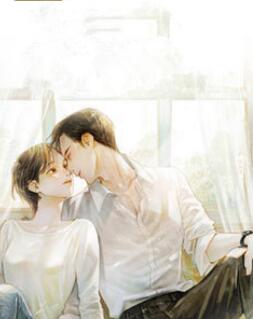 秦少撩妻有术小说阅读