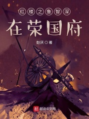 红楼之鲁智深在荣国府小说阅读