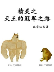 精灵之天王的冠军之路小说阅读