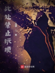 此处禁止玩梗小说阅读