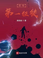 足坛第一狂徒小说阅读