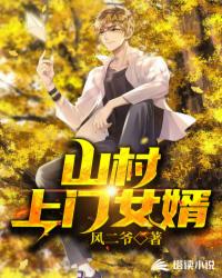 山村上门女婿小说阅读