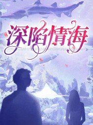 深陷情海陶醉骆北寻小说阅读