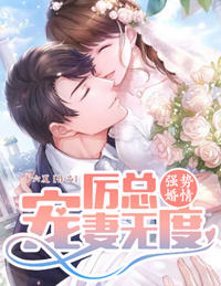 厉骋深乔念小说阅读