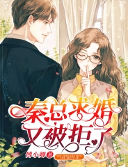 秦总求婚又被拒了小说阅读