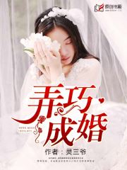 弄巧成婚小说阅读