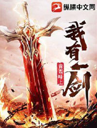 叶观纳兰迦小说阅读