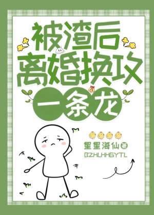 被渣后离婚换攻一条龙小说阅读