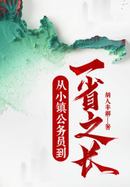 从小镇公务员到一省之长小说阅读