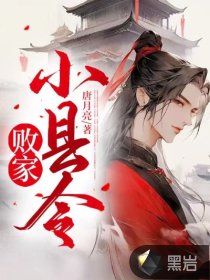 败家小县令小说阅读