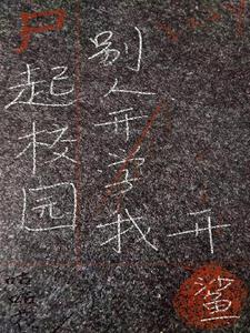 女主叫林珑的小说阅读