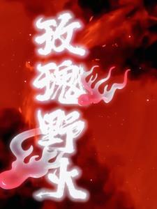 玫瑰野火顾繁漪纪宸枭小说阅读