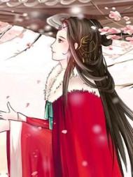 风雪一程此生不再相逢小说阅读