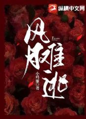 风月难逃by小玛丽小说阅读