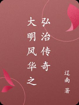 大明风华之弘治传奇小说阅读