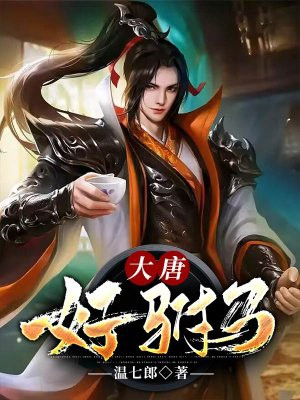 大唐好驸马小说阅读