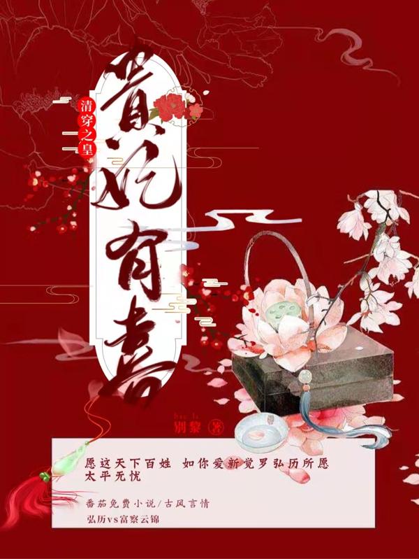 清穿之皇贵妃有喜小说阅读